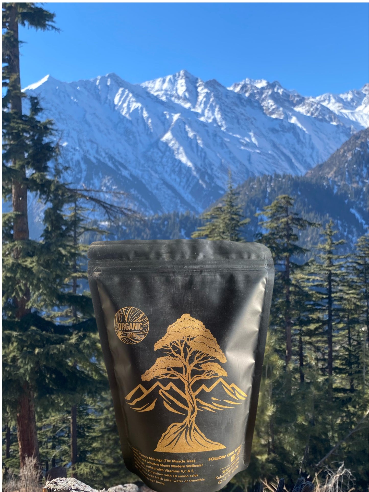 Moringa