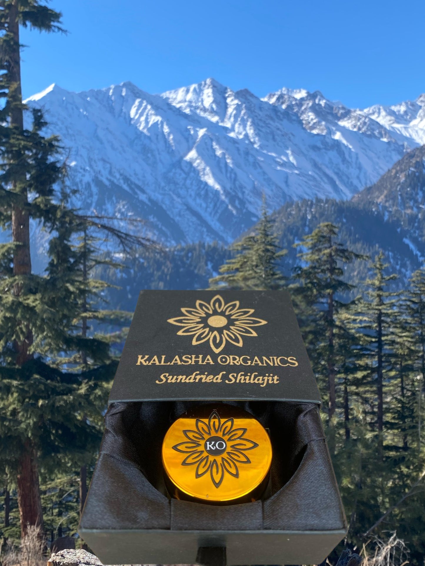 SHILAJIT (SUN DRIED)