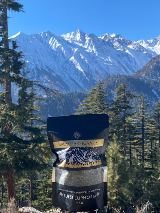 Tulsi Euphoria