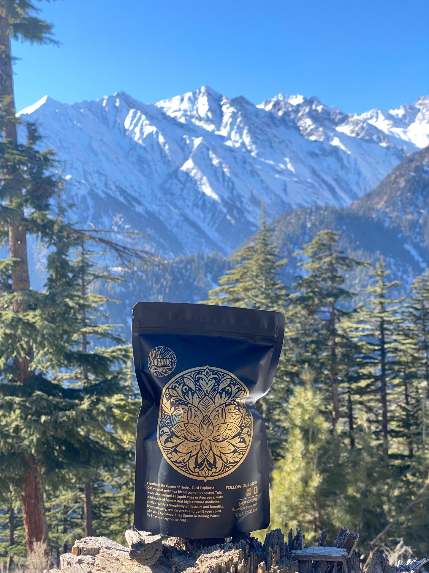 Tulsi Euphoria